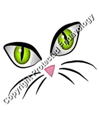 catseyes