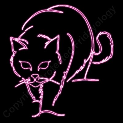 stalking cat pink neon